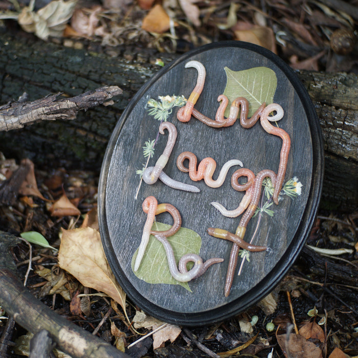 Live Laugh Rot Plaque