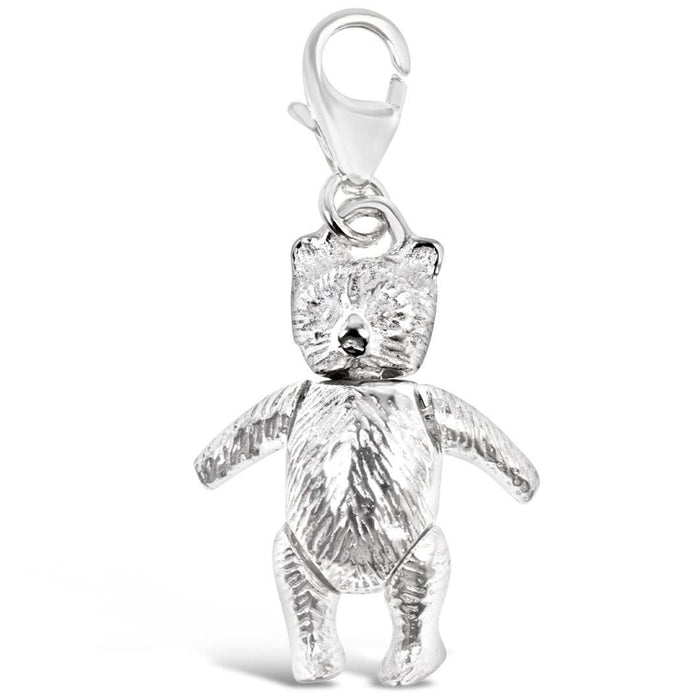 lucky charm teddy on a white backgrond