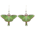 Luna Moth