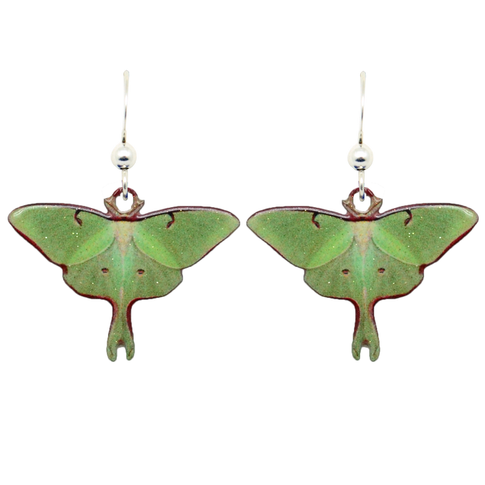 Luna Moth