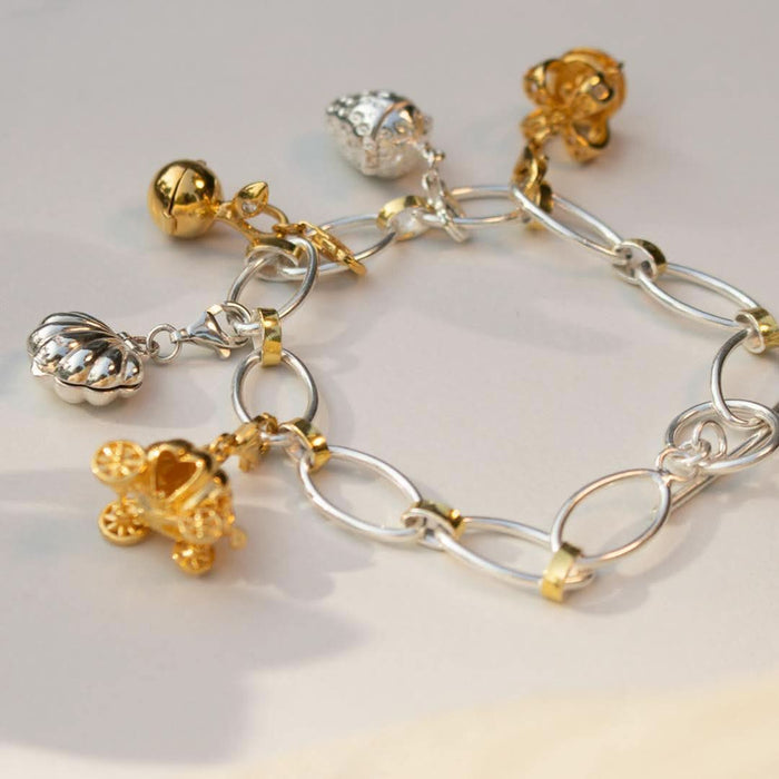 magical charm bracelet with five magical charms attached