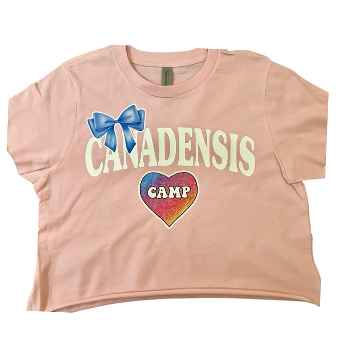 Name 2 Patch Cropped Tee
