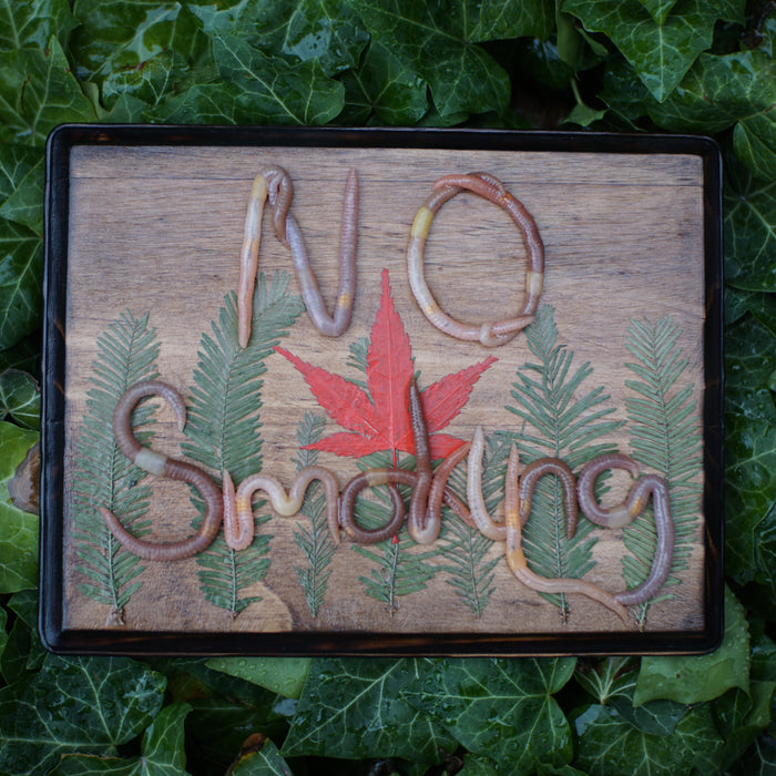 NO Smoking Plaque
