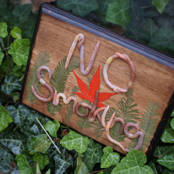 NO Smoking Plaque