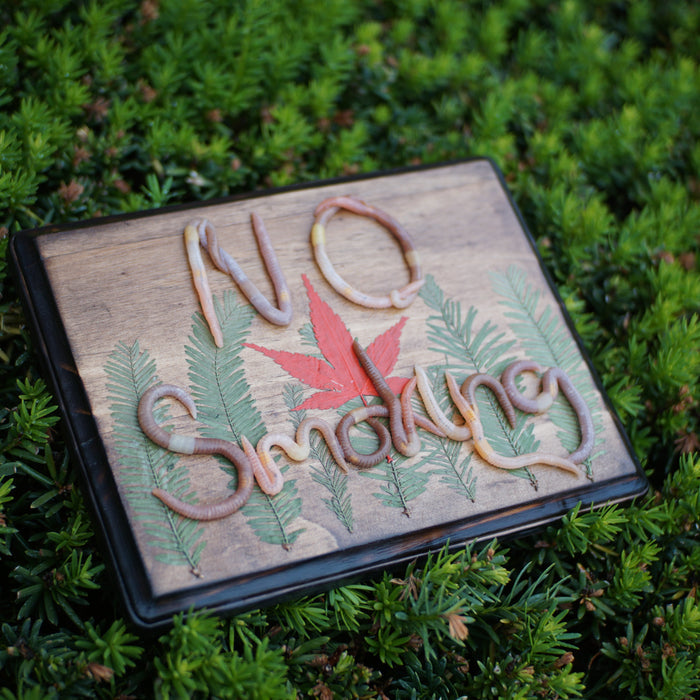 NO Smoking Plaque