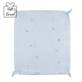 Pale Blue Embroidered Blanket