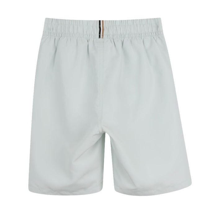 Pale Green Logo Swim Shorts