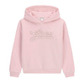 Pale Pink Diamanté Chain Logo Hoodie