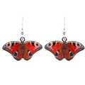 Peacock Butterfly