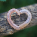 Pin Worm