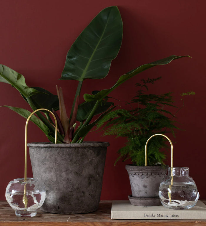 Plant Straw