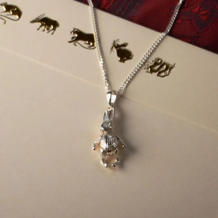 Sterling silver rabbit pendant necklace on gift envelope with animal illustrations, delicate Easter jewellery gift