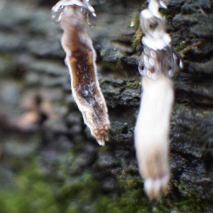 Rat Paw Earrings