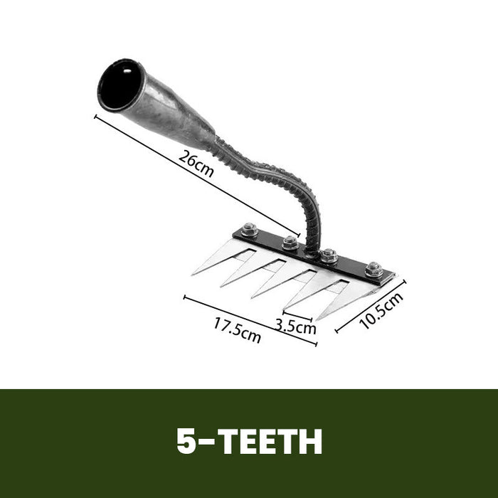 5 Teeth