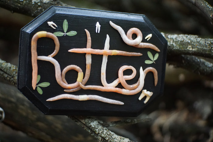 Rotten Tooth Plaque
