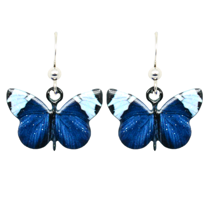 Sapho Longwing Butterfly