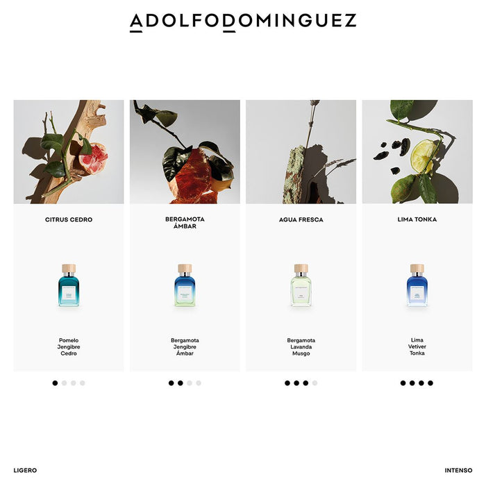 Set para Hombre Adolfo Dominguez Agua Fresca 1993