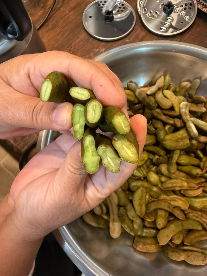 Shwe Hnin Fried Baby Tamarind Fruit with Dried Shrimp  (ရွှေ နှင်း မန် ကျည်း သီး အစိမ်း ကြော်) 🌶️🌶️🌶️🦐🦐🦐 - Myanmar Food USA