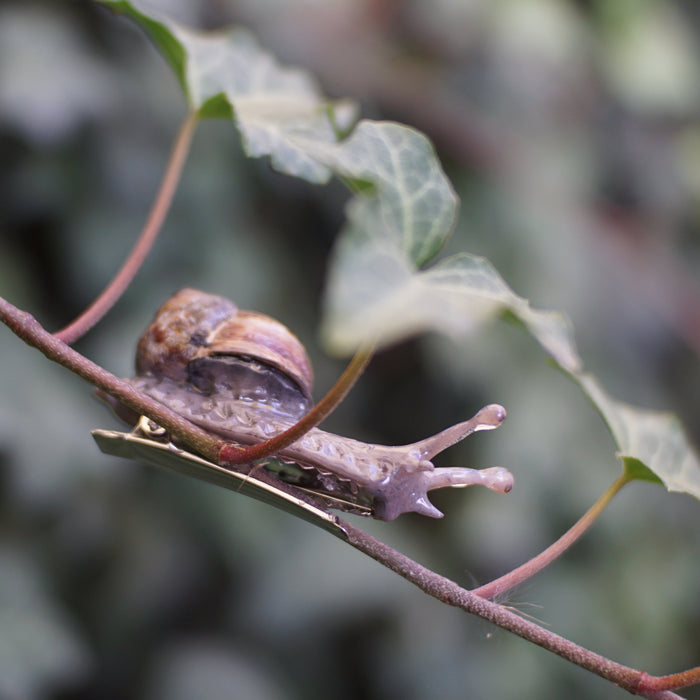 Snail Clip