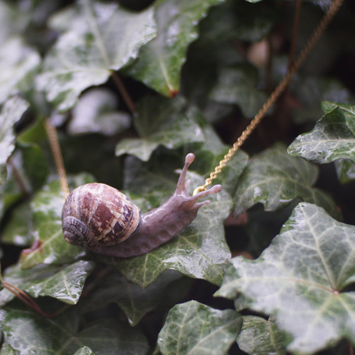 Snail Necklace