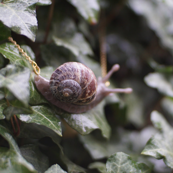 Snail Necklace