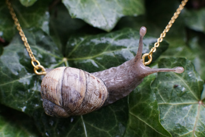 Snail Necklace