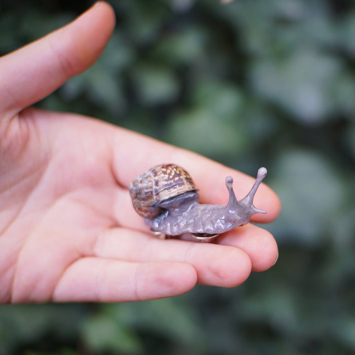 Snail Pin