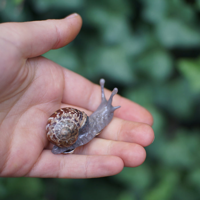 Snail Pin