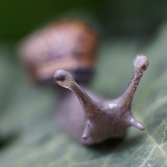 Snail Pin