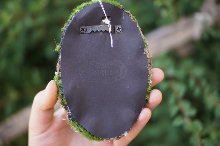 Snail Still Life Plaque