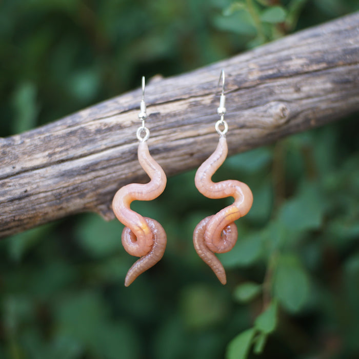 Squirmy Ear Worms