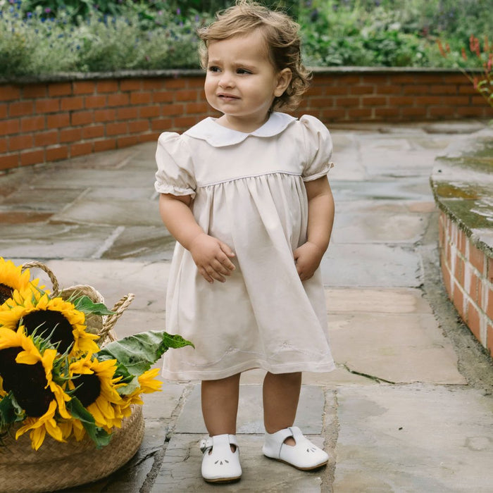 Stone Embroidered Dress