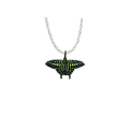 Tailed Jay Butterfly