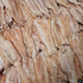 Thazin’s Market Roasted Nga Yant Chauk (ငါးရံ့ ခြောက် မီးကင်)