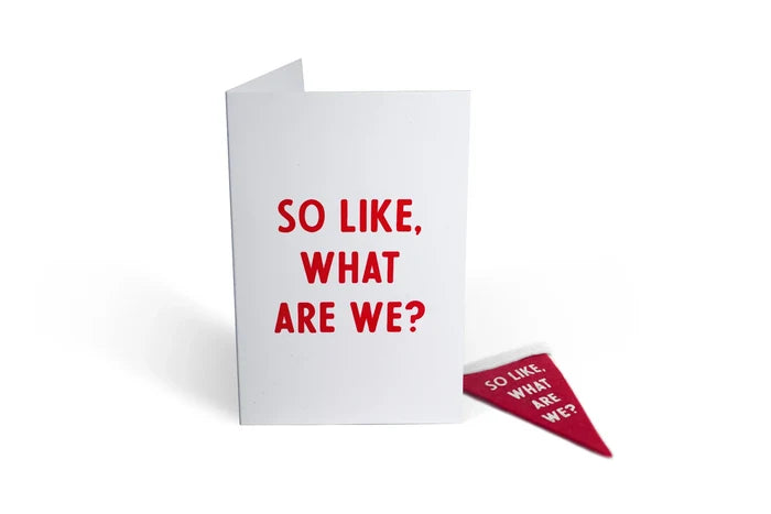 What Are We? Greeting Card + Mini Pennant