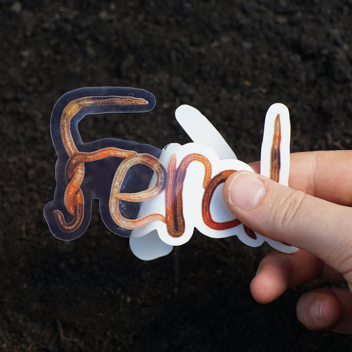 Worm Word Stickers