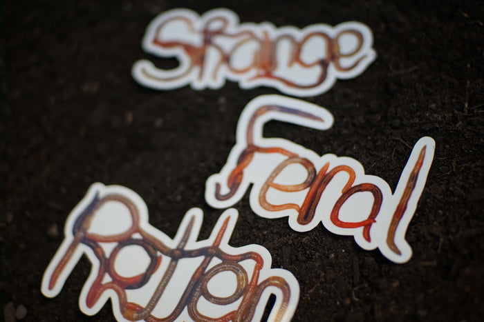 Worm Word Stickers