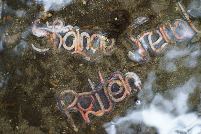 Worm Word Stickers